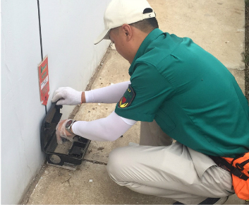 專(zhuān)業(yè)除蟲(chóng)